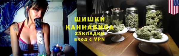 ПСИЛОЦИБИНОВЫЕ ГРИБЫ Алзамай