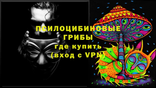 крисы Алексин