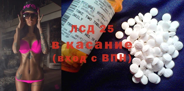 крисы Алексин